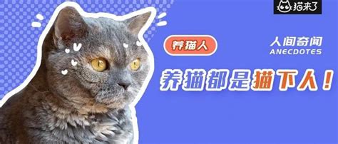 情侣养猫，猫会更喜欢谁？ - 知乎