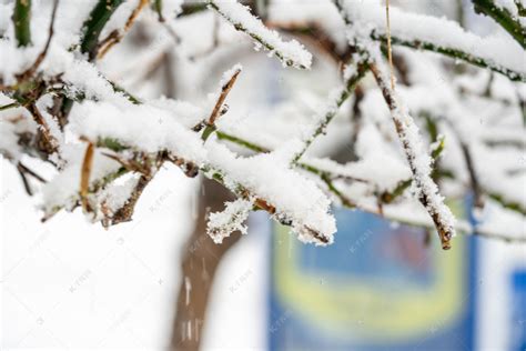 北京四月飘雪 仿佛一夜穿回冬天：山西甘肃也下雪 冷空气深入南下__财经头条