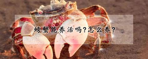大闸蟹没有水能活多久 —【发财农业网】