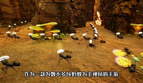 细致入微的体验蚂蚁王国的一天-小米游戏中心