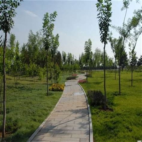 园林景观中土方工程的处理方法-四川艺源园林景观工程有限公司
