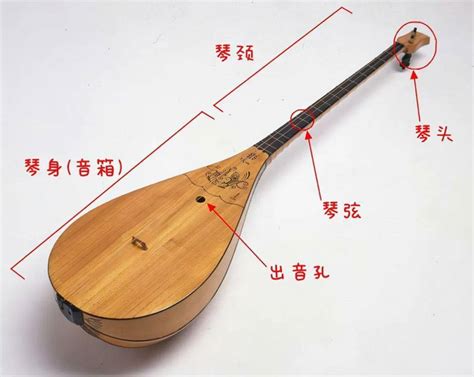 苗族的传统乐器是()，苗族有什么传统乐器