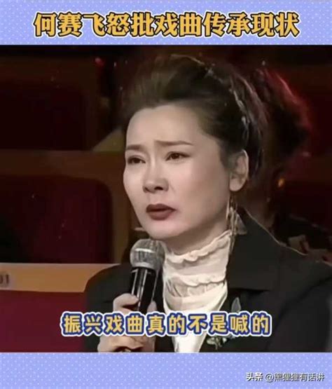 何赛飞回应“痛斥梅花奖”(含视频)_手机新浪网