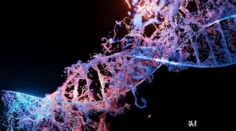 人类基因组计划：解读基因的奥秘_科学中国