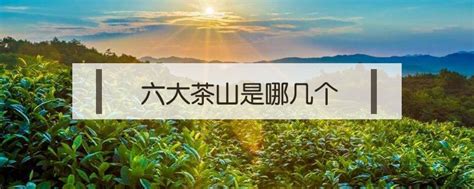 南岳举办茶文化节 率先打造“首善之区” - 旅游播报 - 新湖南