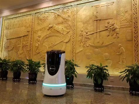 金码大酒店_一米机器人-专注酒店人工智能服务