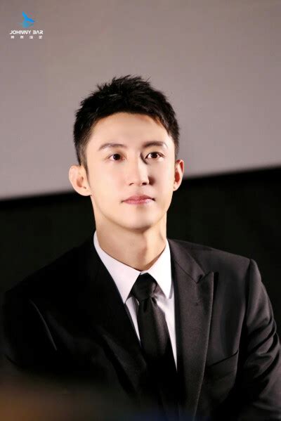 黄景景景瑜图片