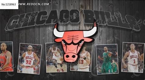 30天30队：2014-15季，芝加哥公牛 - 知乎