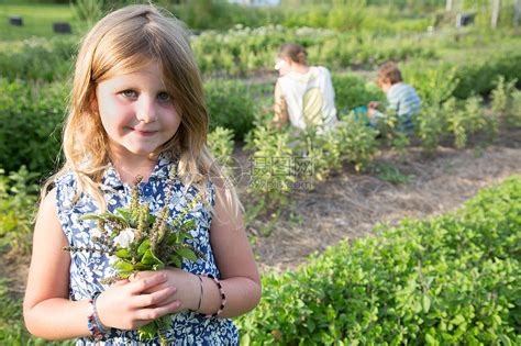 拿着一堆树叶在草药农场的小女孩高清图片下载-正版图片501837327-摄图网