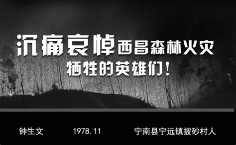 送别英雄！四川西昌森林火灾牺牲勇士追悼会举行_手机新浪网