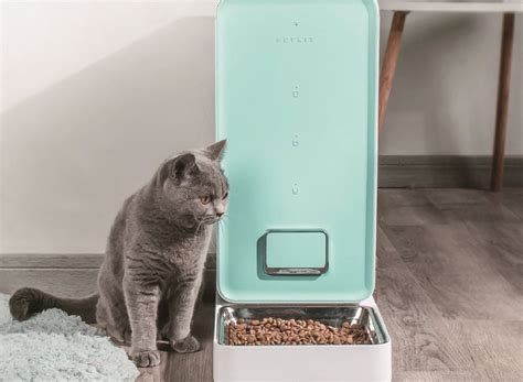 猫咪的自动喂食器和自动饮水器？推荐一款性价比高，好用的？ - 知乎