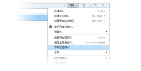 chrono插件下载_chrono下载管理器插件中文下载V0.5.3 - 系统之家