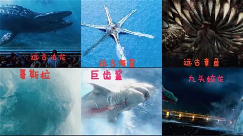 盘点六个海洋霸主，你觉得沧龙和巨齿鲨哪个更厉害？_腾讯视频