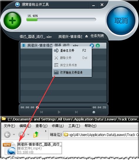 江蕙 - 博杯 卡拉OK伴唱DVD(DVD-ISO3.33G) - 蓝光演唱会