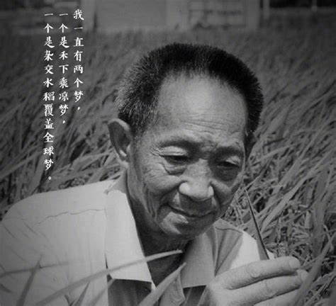 【聚焦】中华拓荒人——袁隆平-新闻中心-温州网