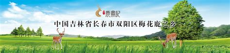 中国铁路 12306 App 汽车票服务新增 10 个省份_内蒙古自治区_功能_支持