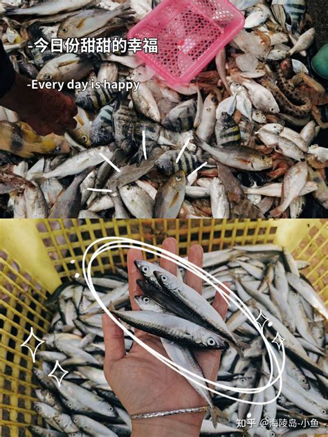 海鲜干货|摄影|产品摄影|名揚mingyang - 原创作品 - 站酷 (ZCOOL)