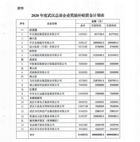 市发改委关于下达2020年度武汉市总部企业奖励补贴资金计划的通知