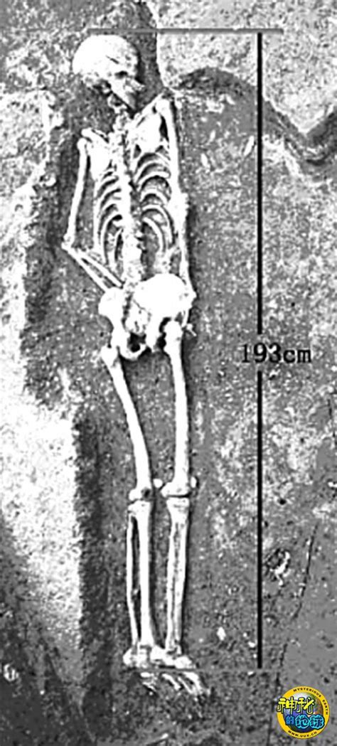陕西发现最高的史前人类遗骸 - 神秘的地球 科学|自然|地理|探索