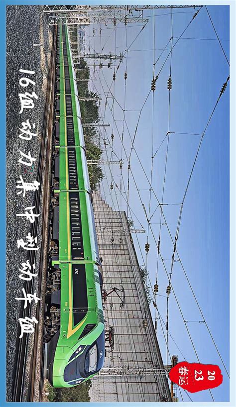 【图片新闻】春运志愿者温暖回家路-柳州铁道职业技术学院