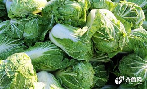 济南最大“菜篮子”供应充足，日均上市3000多吨蔬菜-齐鲁晚报·齐鲁壹点