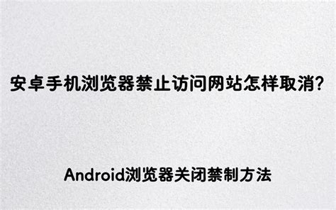 安卓手机浏览器禁止访问网站怎样取消？Android浏览器关闭禁制方法_就爱玩Android