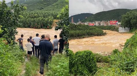 台风苏拉致福建漳州暴雨，多个村庄突发洪水，果园被淹受灾严重_新浪新闻