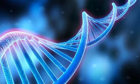 ctDNA超早期癌症基因检测-香港Zentrogene基因检测中心(香港大Z化验所)【官网】