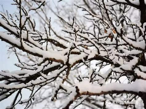 辽宁锦州遭遇今冬首场强降雪 车辆被小山堆般厚的积雪覆盖-天气图集-中国天气网