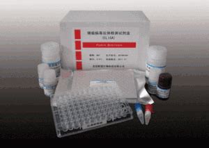 多形核白细胞弹性蛋白酶(PMNElastase)ELISA定量分析试剂盒-北京雅安达生物技术有限公司