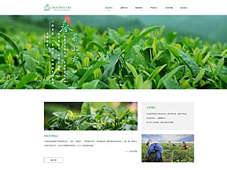 茶叶网站模板|茶叶网页建设制作与开发_海洋网络