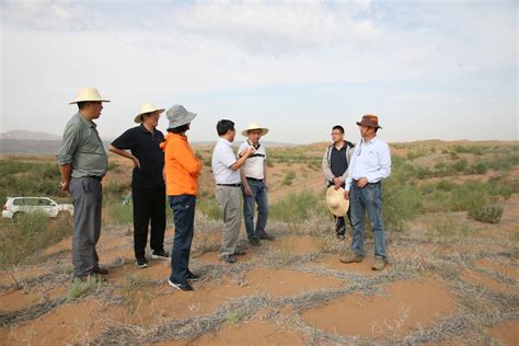 宁夏沙坡头沙漠生态系统国家野外科学观测研究站
