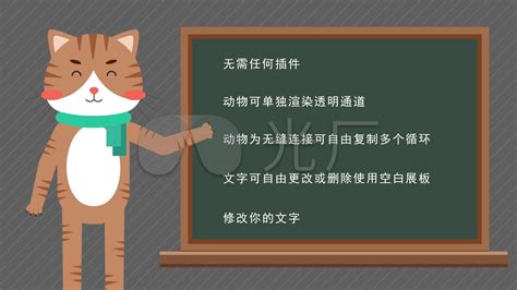 猫咪老师 - 堆糖，美图壁纸兴趣社区