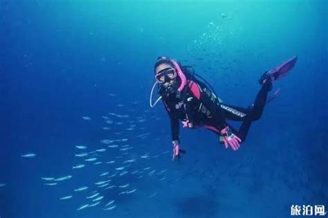 潜水培训 潜水体验 潜水员潜水教练 浮潜潜水 潜水课程 自由潜水 救生潜水