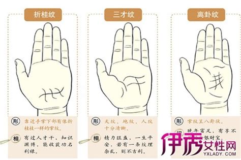 心理测试：看你的掌纹最像哪一种,测你的人生运势|手相|纹路|事物_新浪新闻