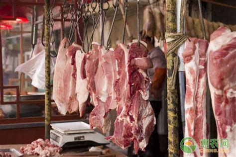 现在上海猪肉多少钱一斤？ - 惠农网