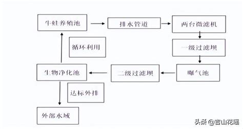 牛蛙养殖技术及场地建造（牛蛙适合哪里养殖） - 言韩号-为创作者服务！