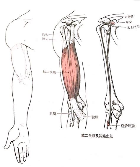 TROTT 的图像结果