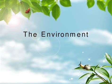 The Environment_word文档在线阅读与下载_免费文档