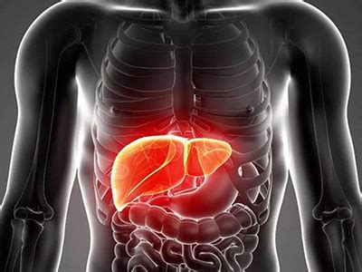 弄清楚肝脏如何工作？才能以正确的方式，爱护我们的肝脏！__凤凰网