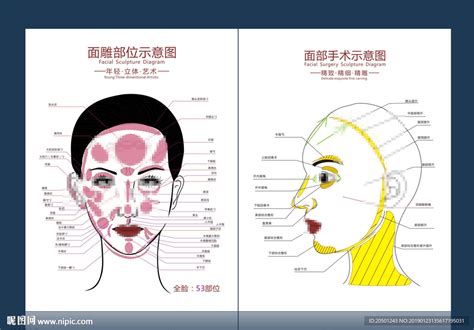 女性面部整形术前画线元素素材下载-正版素材401767636-摄图网