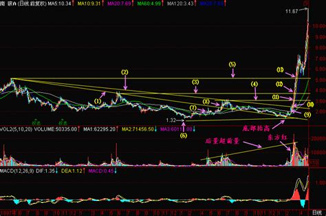 股票技术分析的构成-看盘绝招图解教程-天才股票网