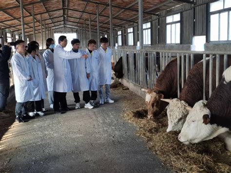 勐海县畜牧兽医站完成勐海、勐遮、勐往样品血清采集工作