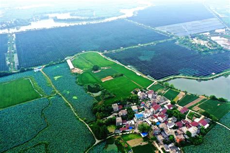 安徽芜湖：打造长江（繁昌）经济带“最美岸线”升级版