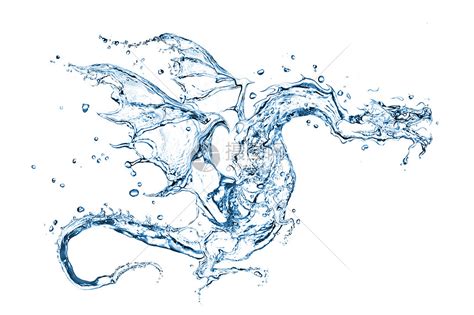 水龙图片