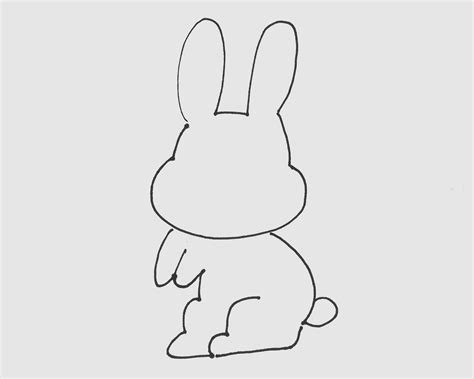 小白兔的外形特点,的外形,小白兔的_大山谷图库