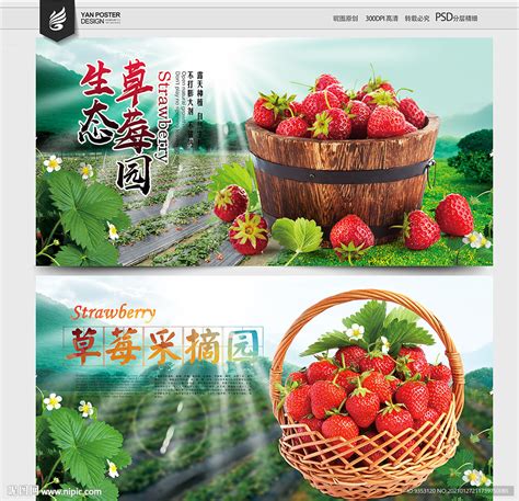 上海郊县草莓采摘地图-上海游攻略-墙根网