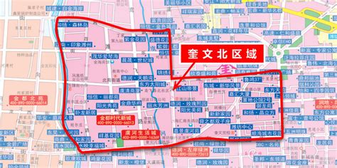 潍坊奎文区大虞街道：“十大创新”激发市场主体新活力 - 今报在线