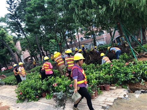 学校急招绿化工深圳,哪里招绿化工人,深圳剪草工招聘_大山谷图库