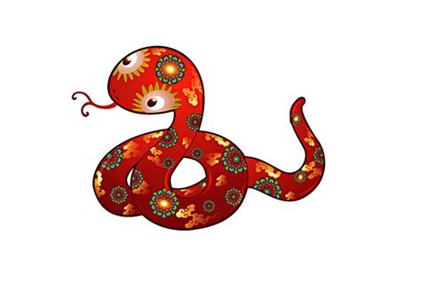 花蛇图片